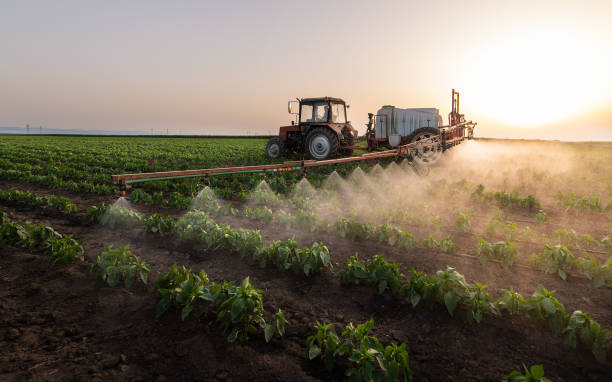 Best Mosquito Control Services  in Brickerville, PA