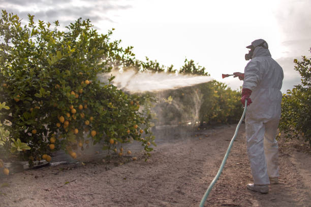 Best Insect Control  in Brickerville, PA