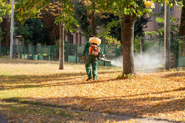 Best Flea Control Services  in Brickerville, PA
