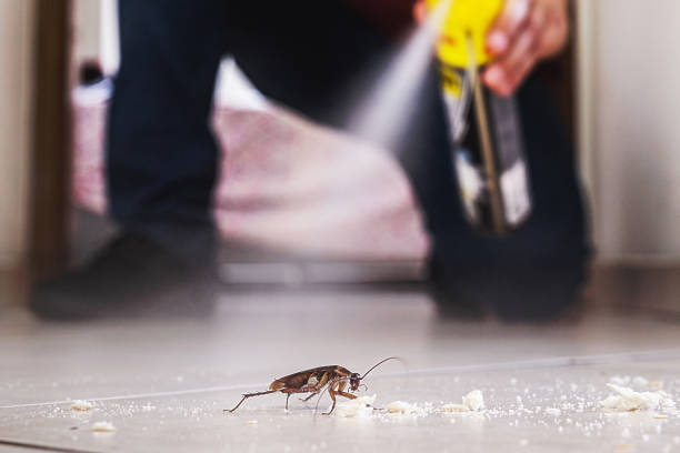 Best Residential Pest Control  in Brickerville, PA