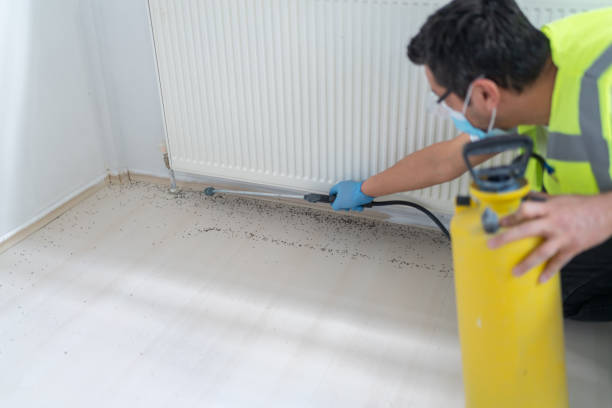 Best Termite Control Services  in Brickerville, PA